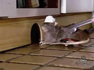 Thanks I hate this rat trap