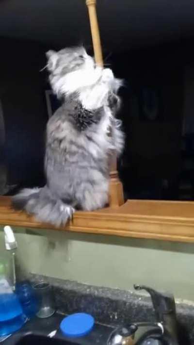 She's just trying to pay her student loans