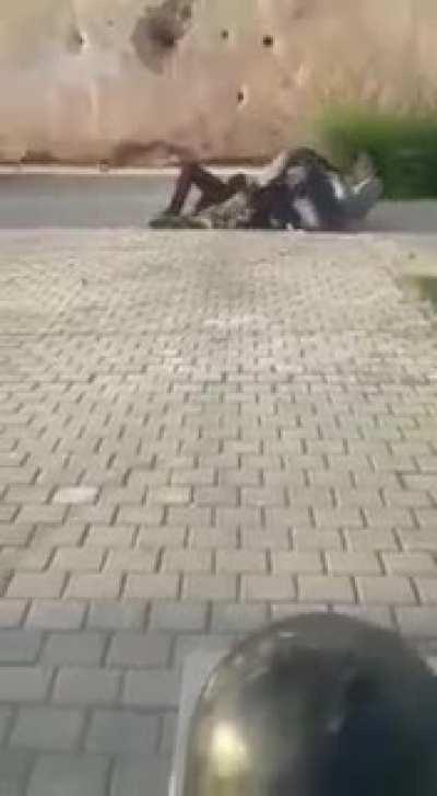 Slapping a dog in the face with a tree branch