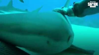 Maybe it’s not so bad, maybe it’s just in our heads!