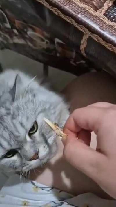 Reaching for the chicken