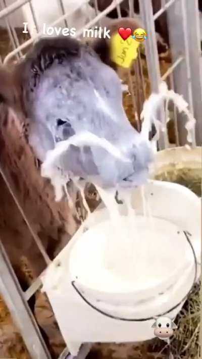 My man knows how it's done.