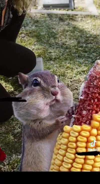 Are you a PSYCHOPATH? Find out now!