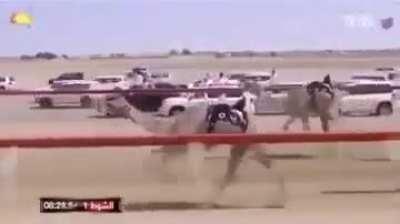 Formula 1 in the Middle East be like 🐫🔥 🐫🔥 🐫🔥 🐫 🔥 🐫 🔥🐫 🔥