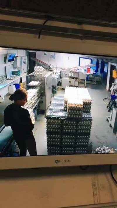 she didn't eggspect that