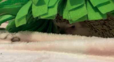 so, he's definitely plotting something, right?