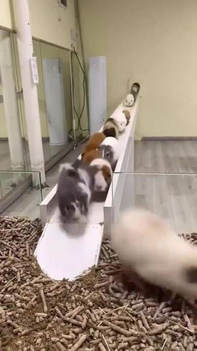 I don't know why I want to watch this in loop