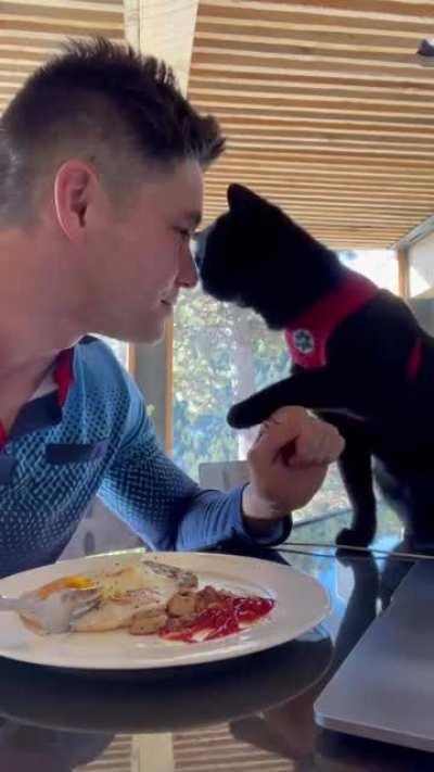 It was love at first sight