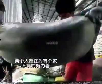 Is it possible to find such a women in Zimbabwe anymore