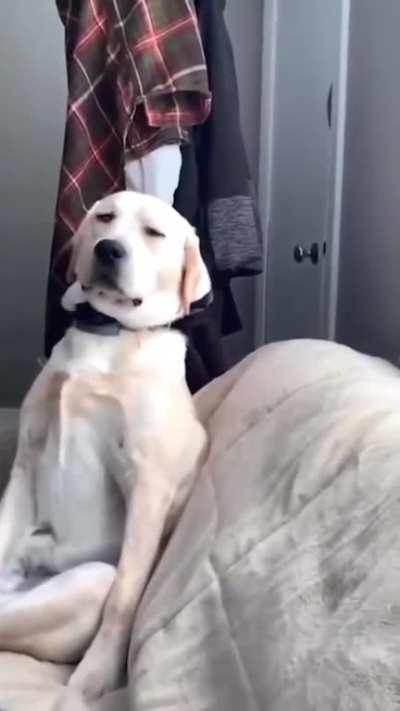 Almost done with the weekend..