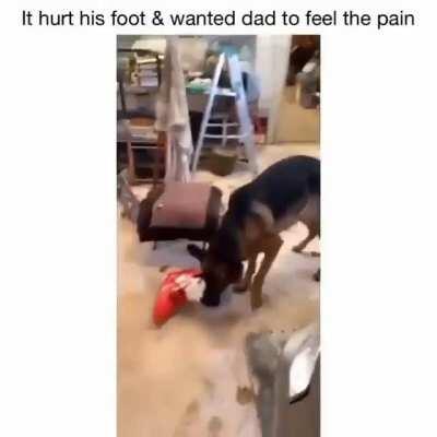 We're in this together, woof.