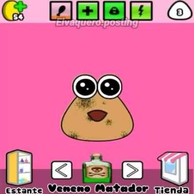 pou lore