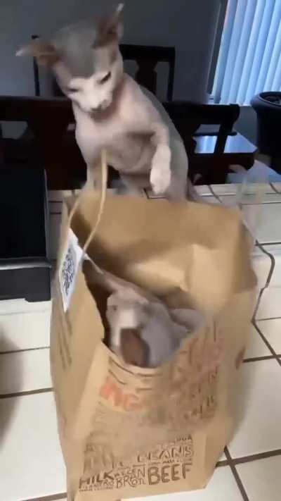 Didn’t see that coming😅