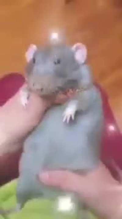 >So literally me 💅✨