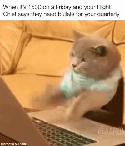 Shithot Airman! Wiped OWN ass; My number 15 of 13, and I only need 10 to do the job!