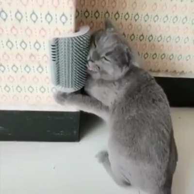 Cat Self Groomer Brush