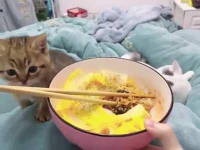 A natural in the making