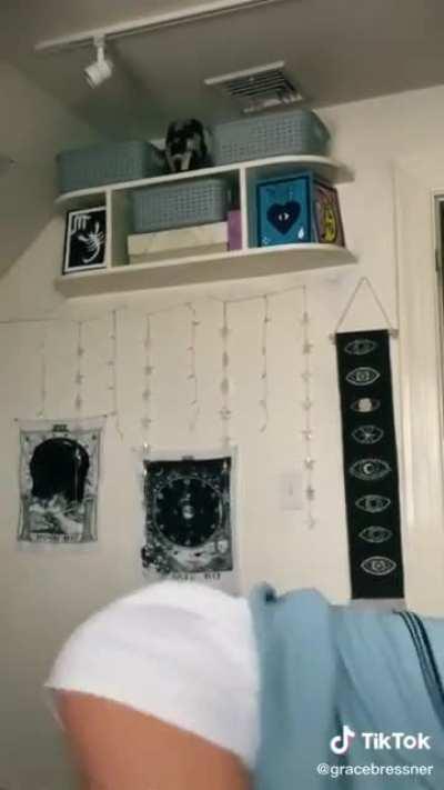 GraceBressnerTikTok - Video #4702