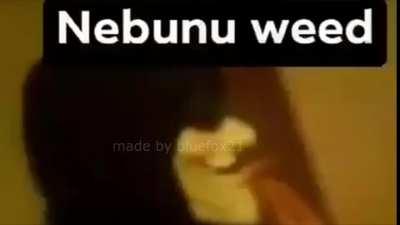 nebunu wid il sperie pe soarecele mihai !!!!!!1!1!!!11!11