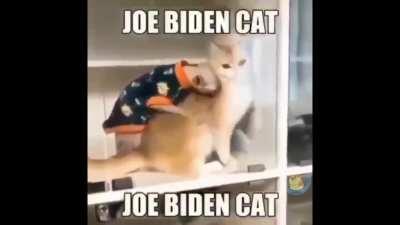 joe biden irl 😱😱😱