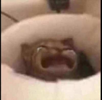 Oh no it's crying :(