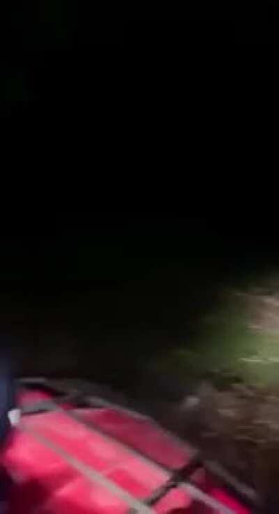 It was recorded in Tikal Guatemala a few months ago, whoever recorded the video said that he had never heard anything like this in his years as a park keeper. What could that have been?