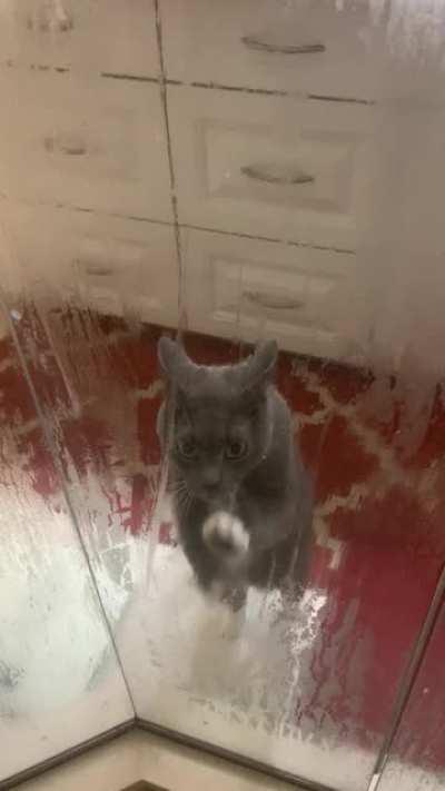 I think he thinks I’m in danger every time I shower.......