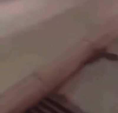 An idiot putting other people’s life at risk because he didn’t want to wait a damn red light