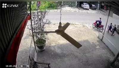 Just minding their business