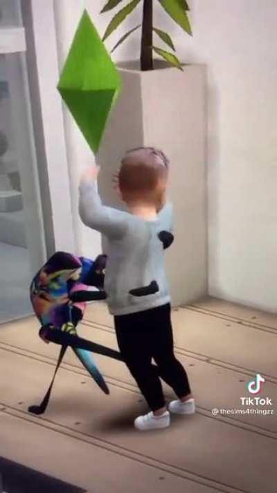 I don’t think that’s a cat