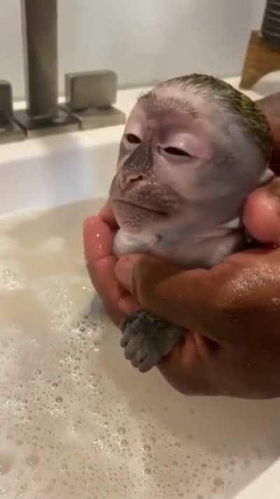 HuMaN FuCkInG DrOwNs LiTtlE MoNke