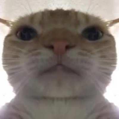 alguém poderia me dar o link ?