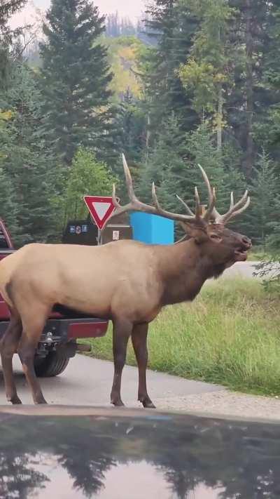 How NOT to get a girl