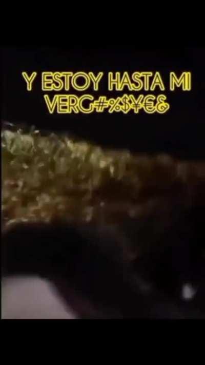 Lunes de ser como Pepe