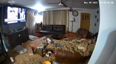 The audacity of this universe