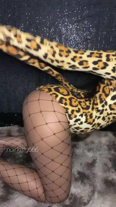 do you like my kitty costume 🐱