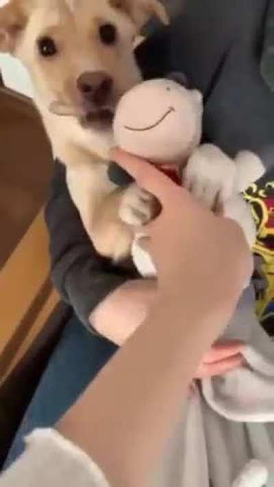 The eyes, chico. They never lie