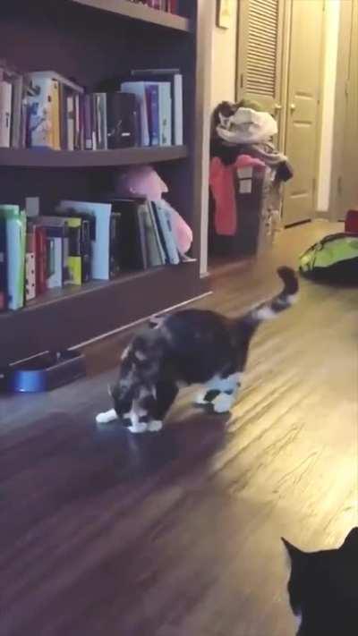 HMC I feel a groove coming on.