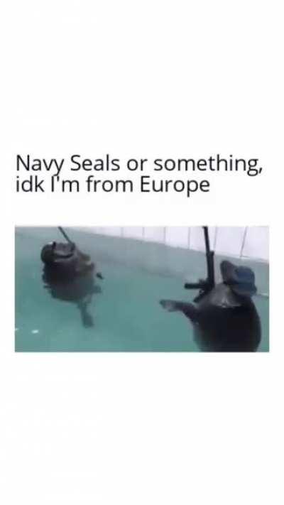 Navy Seals or Something