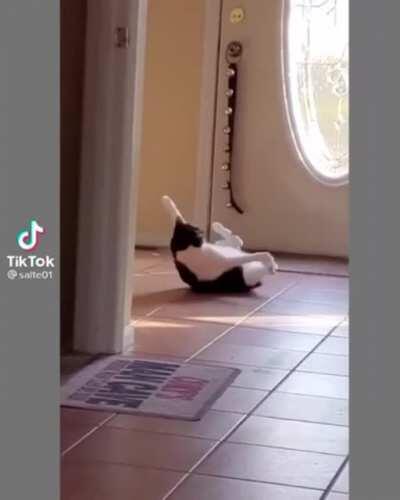 Help him, his tail is cursed! [x-post from r/startledcats]