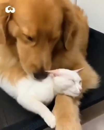 My Best Friend ❤️