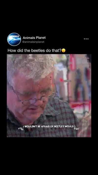 Finally we have an answer on how the pyramids were built 