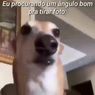 Um titulo interessante