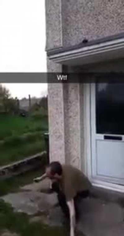 Scottish junkie dragon champion