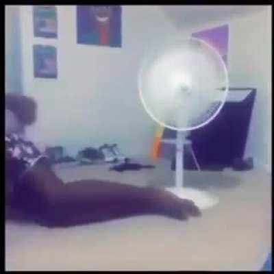 No Nut November Literally