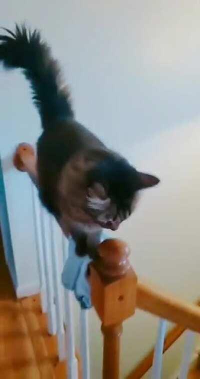 Filmer hopefully learned their lesson