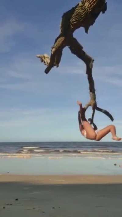 Climbing a dead tree, WCGW?