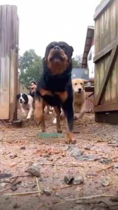 Wait for the last one