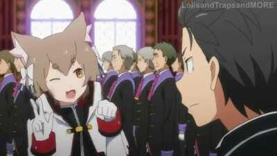 Kočkoholky jaou nejlepěí bráško