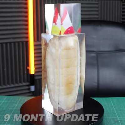 9 month epoxy hot dog update!